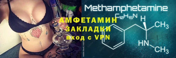 шишки Аркадак