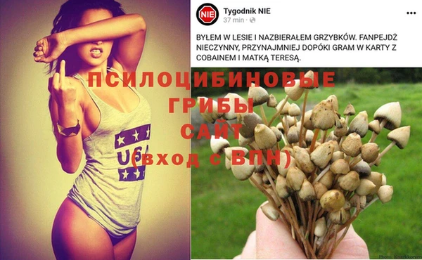 МДМА Арсеньев