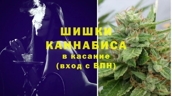 шишки Аркадак