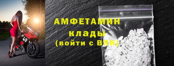 шишки Аркадак